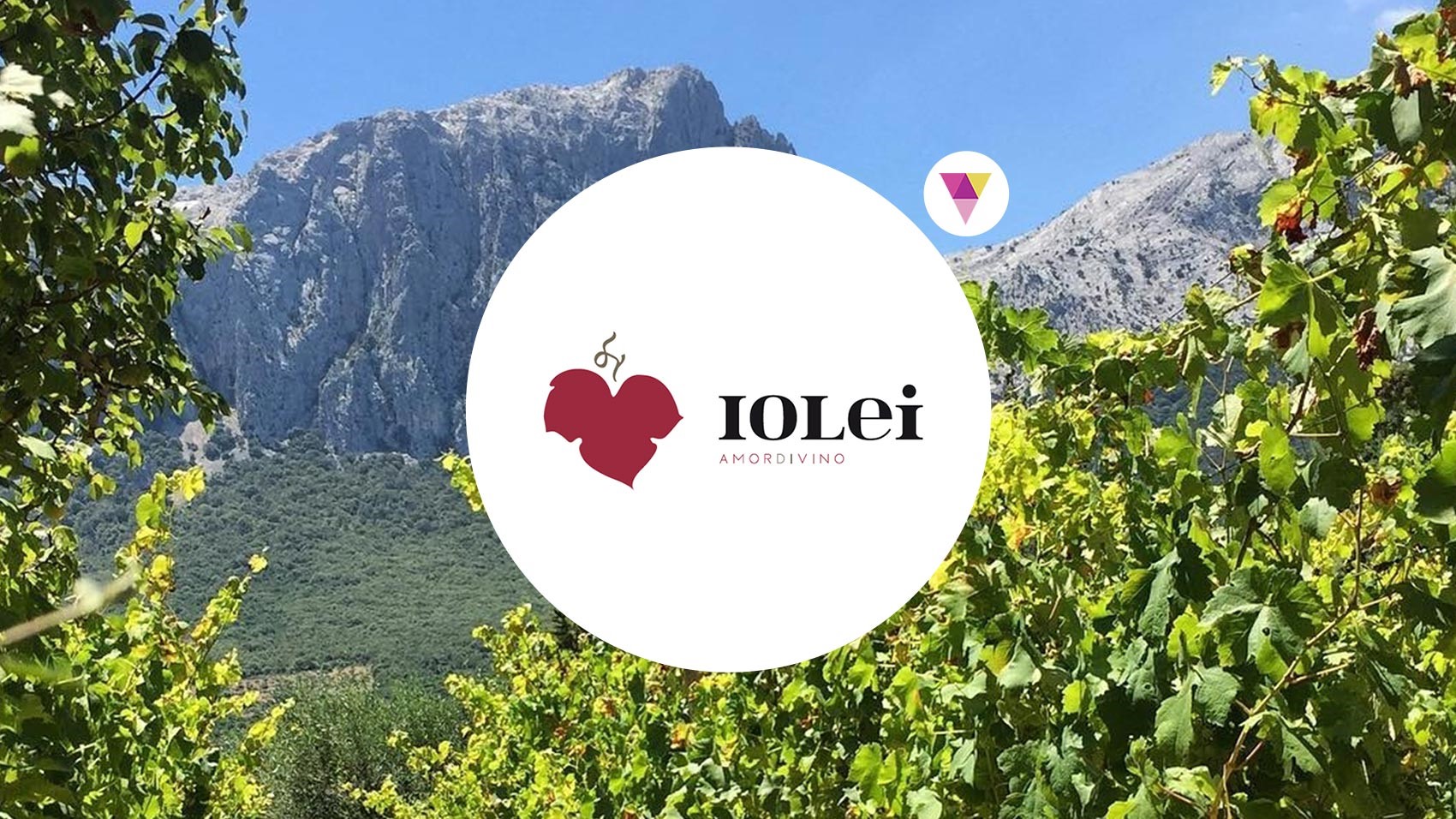 IoLei WInery – Il Sogno di una “Vite”