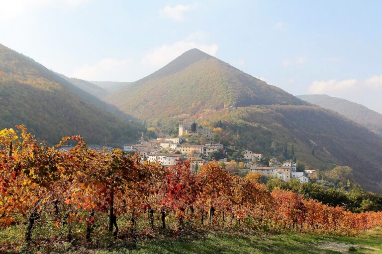 Alla scoperta di un vino più “unico che raro”, La Vernaccia di Serrapetrona