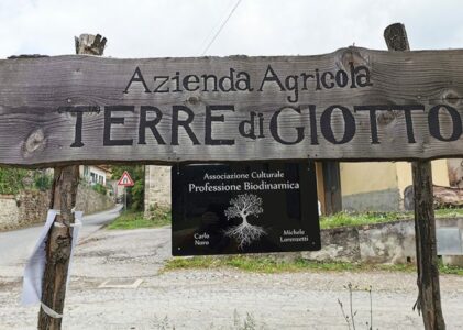 Due chiacchiere con Michele Lorenzetti – Terre di Giotto. Mugello, Appennino Toscano