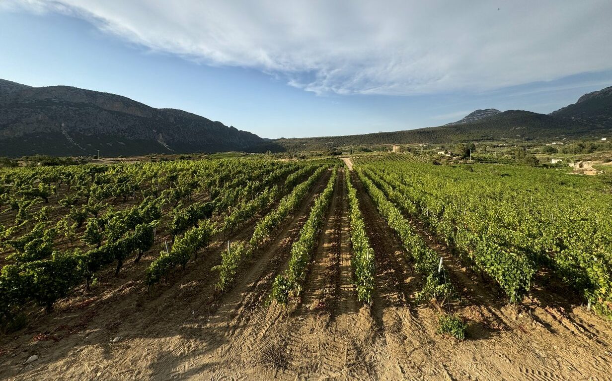 Una bodega familiar en el corazón de Rioja Alavesa. Bodegas Gómez de Segura – España