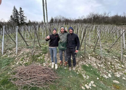 Jeune vigneron de la vallée du Rhône septentrionale.